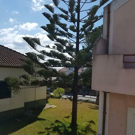 Mikes Apartment Torreira